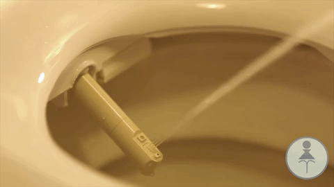   auto flush bathroom smart intelligent toilet