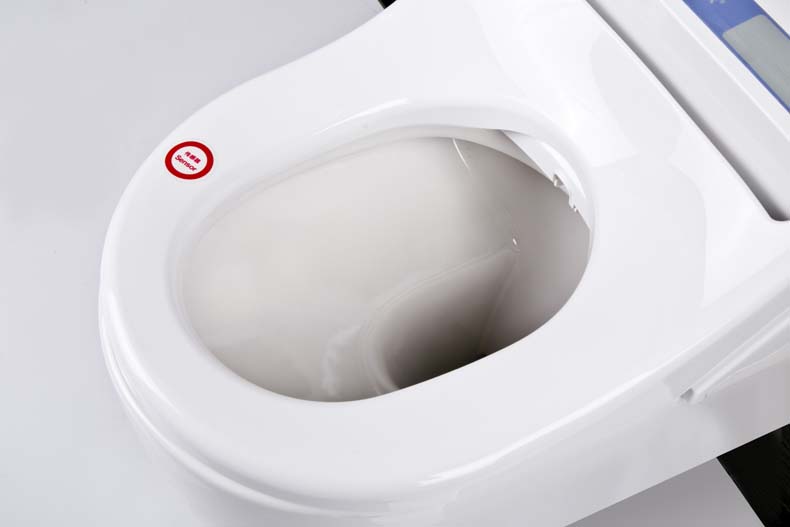 Smart Toilet electronic Bidet seat cover